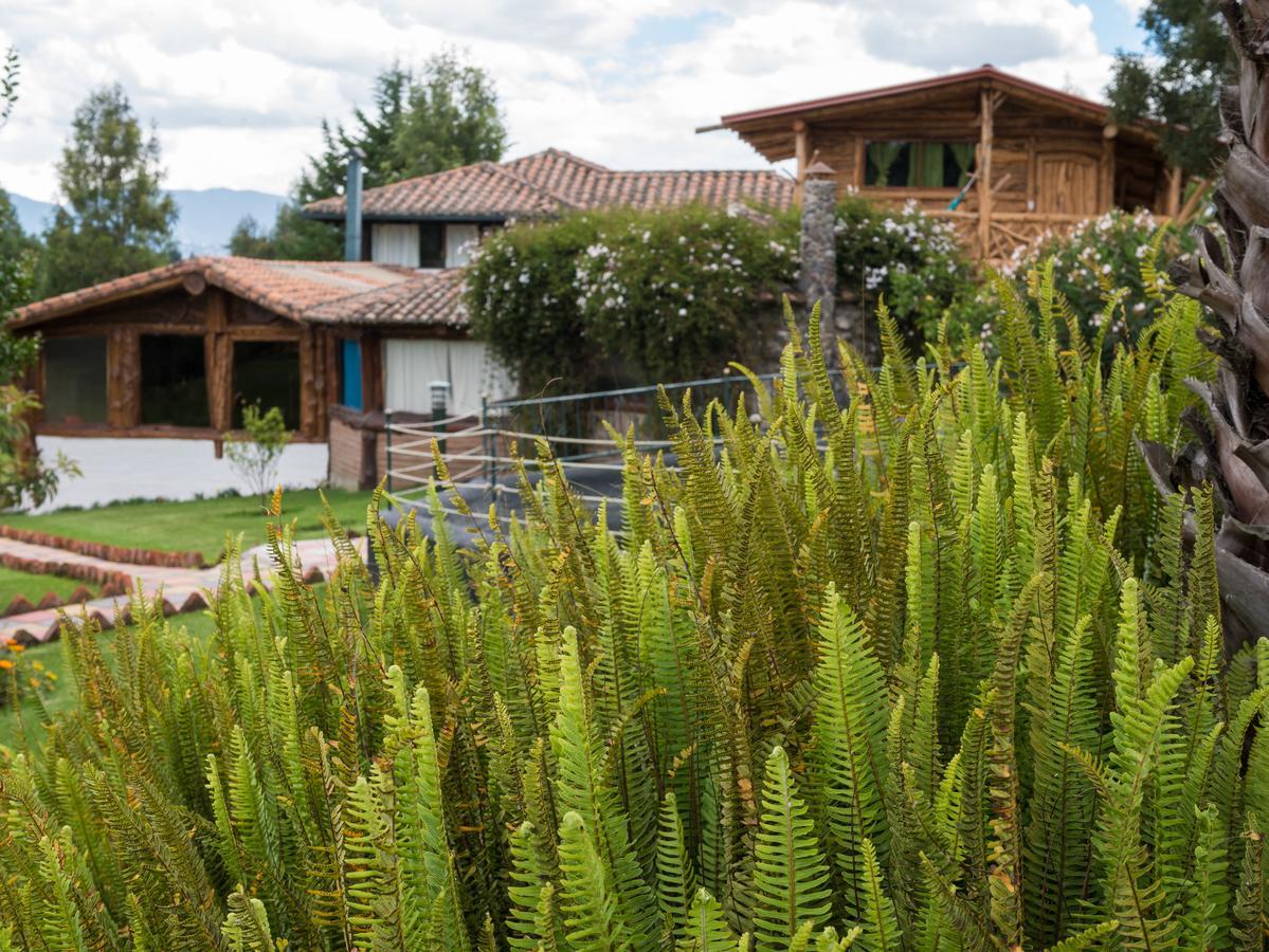 Zaysant Ecolodge Puembo Ngoại thất bức ảnh